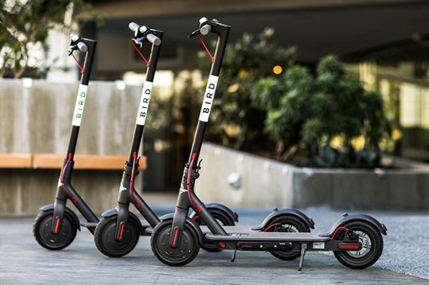 Trottinettes électriques bird